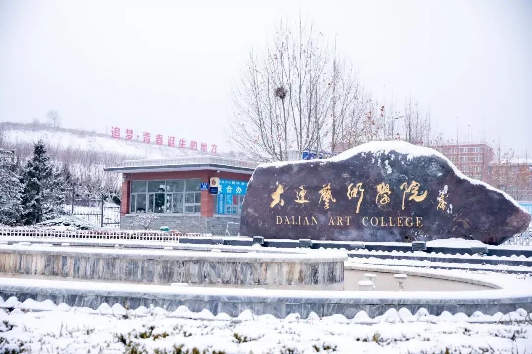 民办学校大连艺术学院全国排名,大连艺术学院辽宁排名