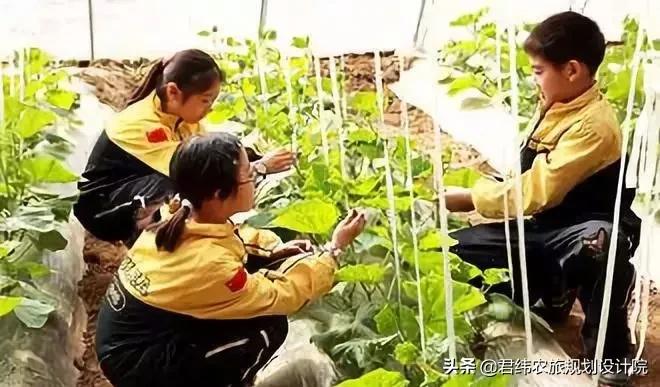 家庭农场申请补贴流程,湖南省家庭农场补贴标准2024