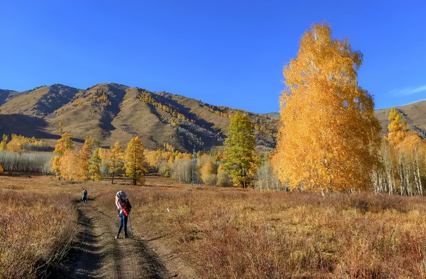 北疆四季,北疆的四季美景