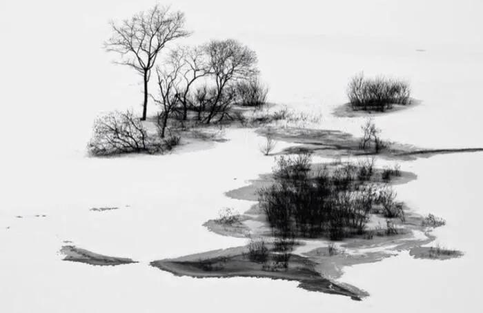 愿你历尽沧桑，永葆天真模样