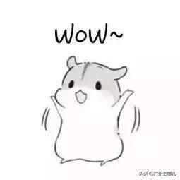 深圳高铁4个小时可到的旅游城市,深圳出发最美的短途高铁