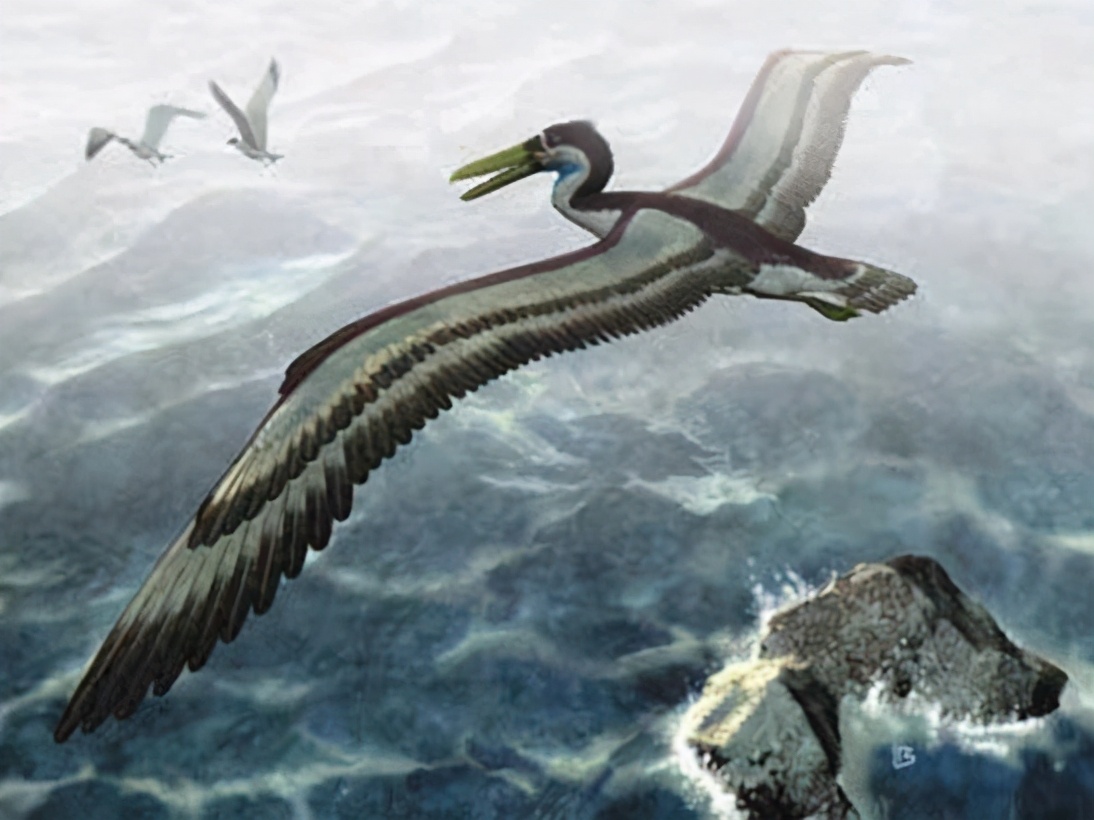 鹅粪便为什么不能杀蛇,鹅屎为什么能杀死蛇