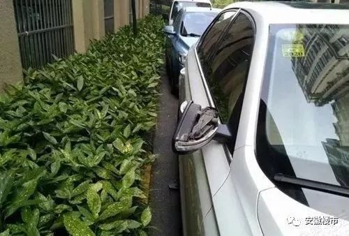 近7000条投诉！墙面脱损、车库拒停、收钱不作为！合肥这些小区物业都摊上事了......