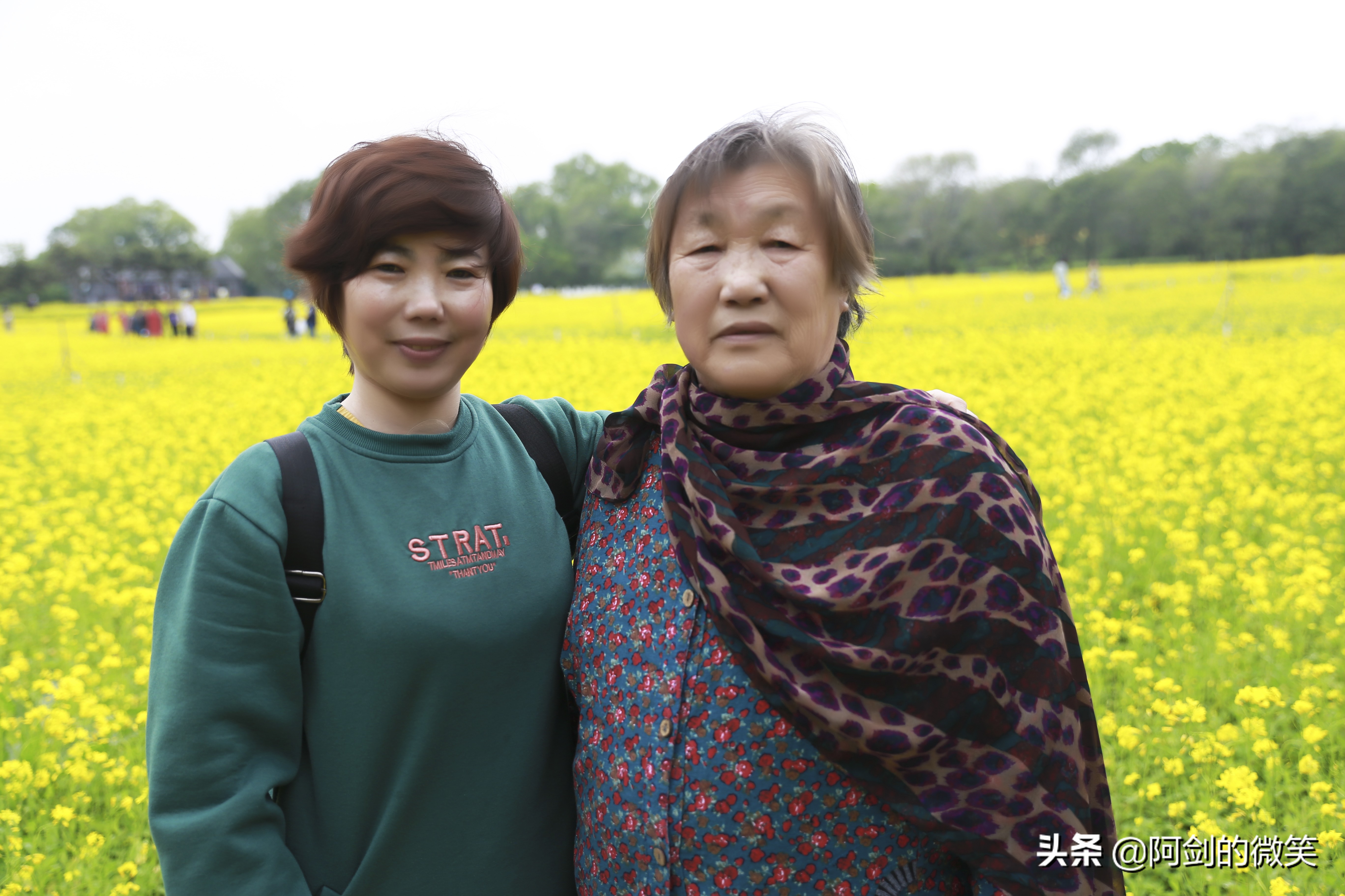 沈阳十一假期哪里有花海,沈阳玫瑰小镇温泉花海两日游