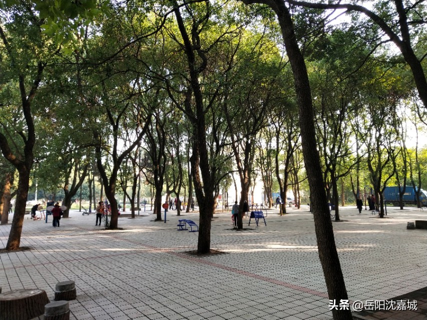 五六十万可以在岳阳哪里买套三房？我来跟大伙说说