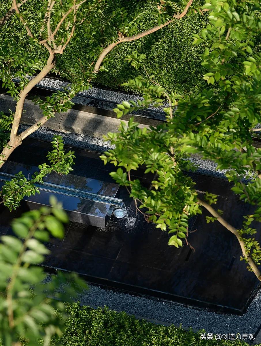 如何对植物进行管理,植物苗期管理视频