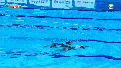 花样游泳锦标赛冠军,花样游泳世锦赛2024几块金牌