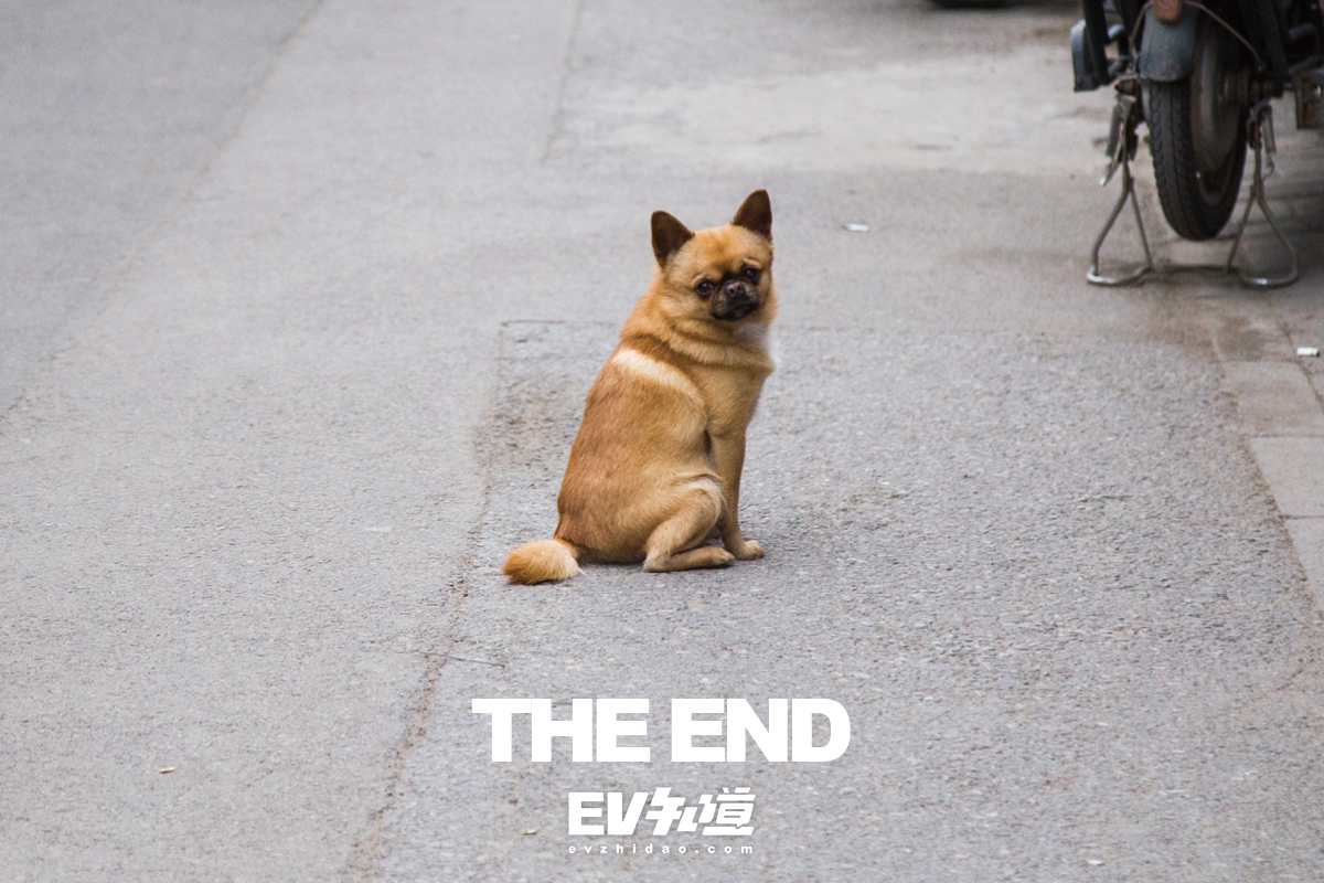 520特别企划|沈小花带你探老北京卤煮TOP5