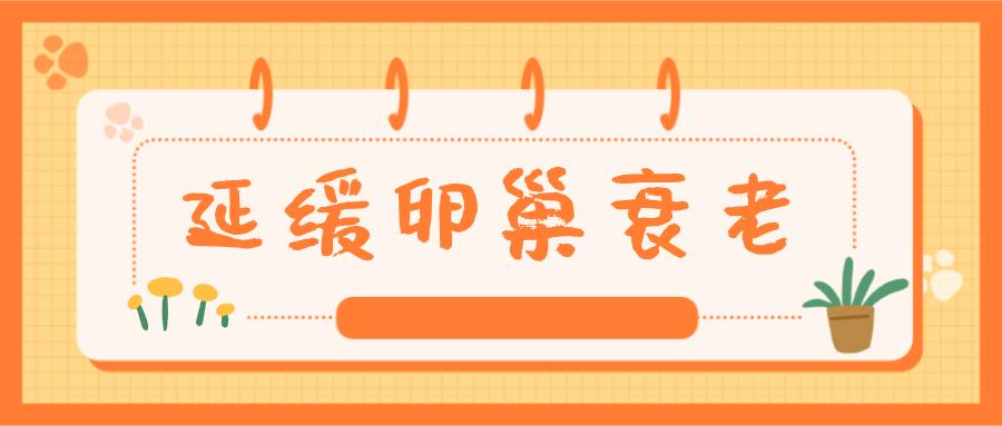 卵巢衰老出现什么症状,女人吃哪些食物能延缓卵巢衰老