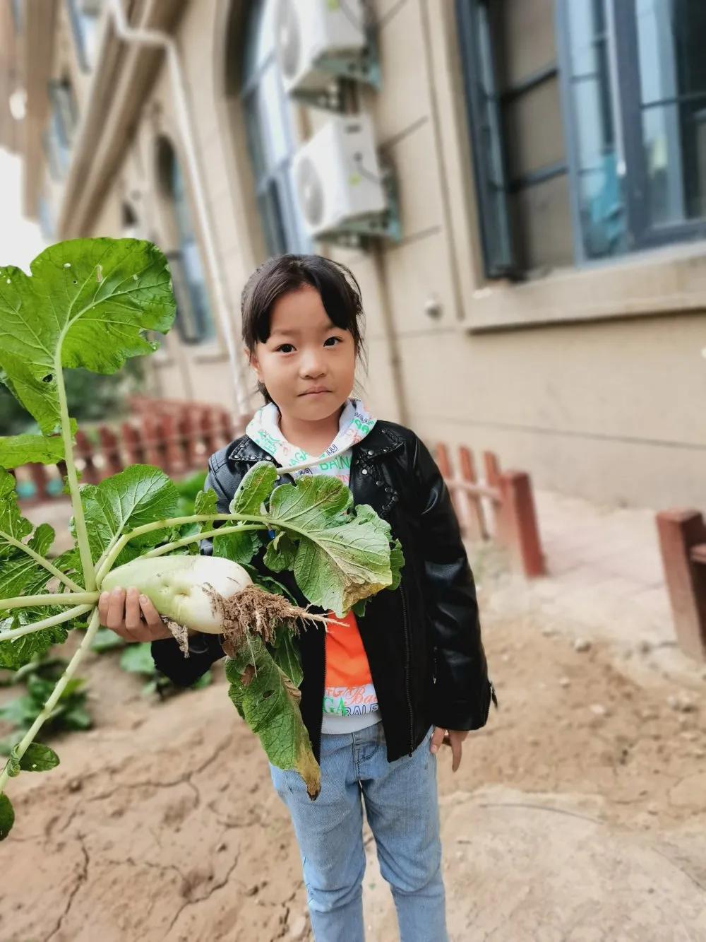 高新区汇爱国际幼稚园,高新区汇爱幼稚园的日常生活
