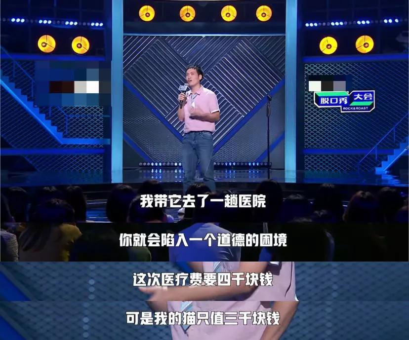 本以为养猫是为了不孤单,以为单身就可以自由