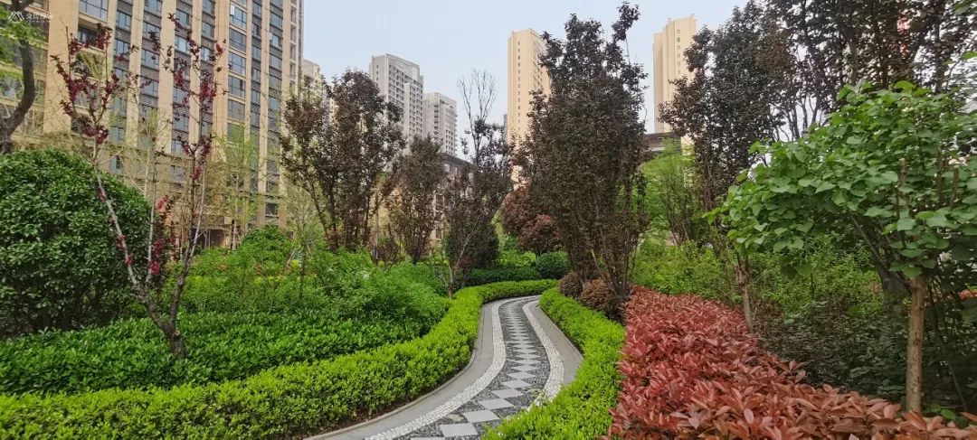 五星级的家是什么样的,五星级的家