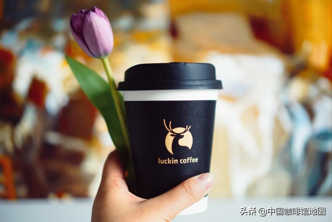 瑞幸咖啡soe小黑杯冷热哪个好喝,瑞幸soe小黑哪个好喝