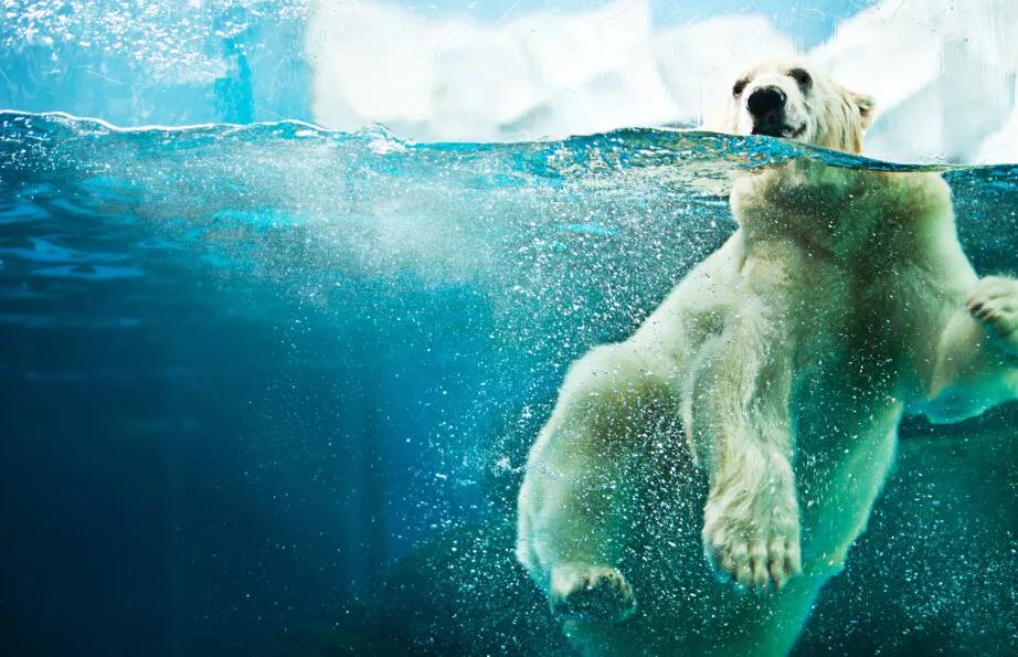 大连春节网红打卡景点,大连旅游攻略必去景点