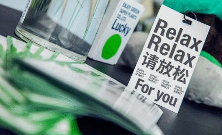 risecity榕耀之城景观设计说明,RISECITY榕耀之城TOD社区公园