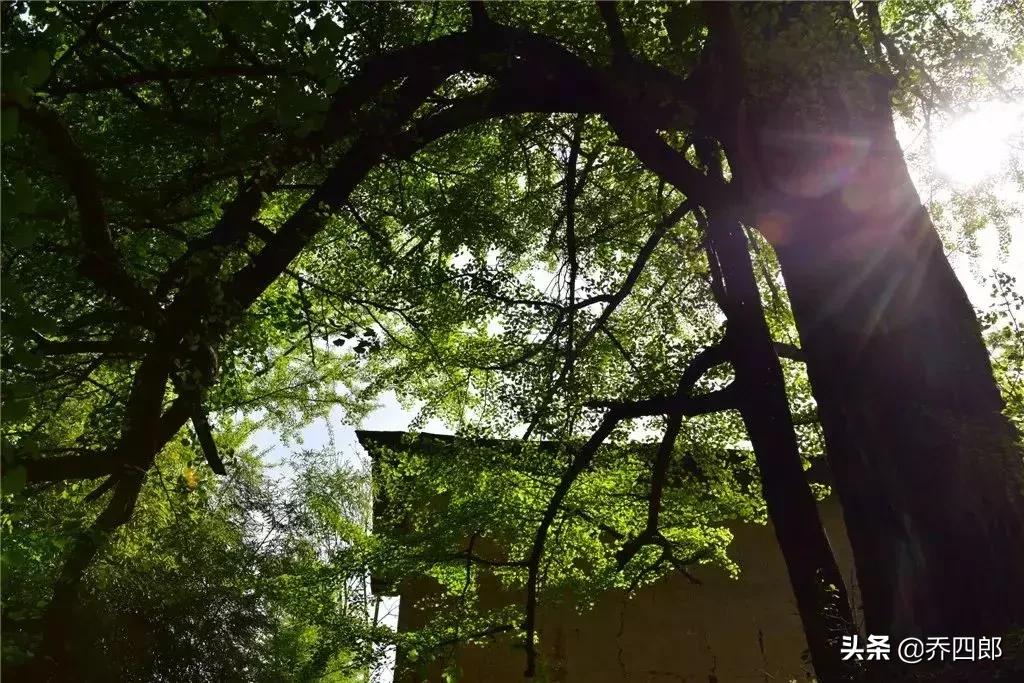 生活在陕西的一个小县城,陕西哪个小县城适合游玩