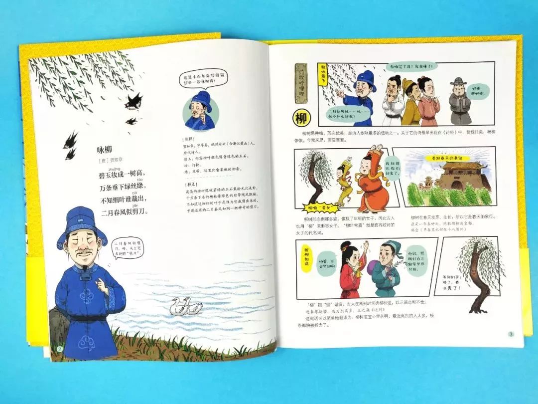 董卿在主持人大赛上评王帆,央视主持人大赛王帆董卿