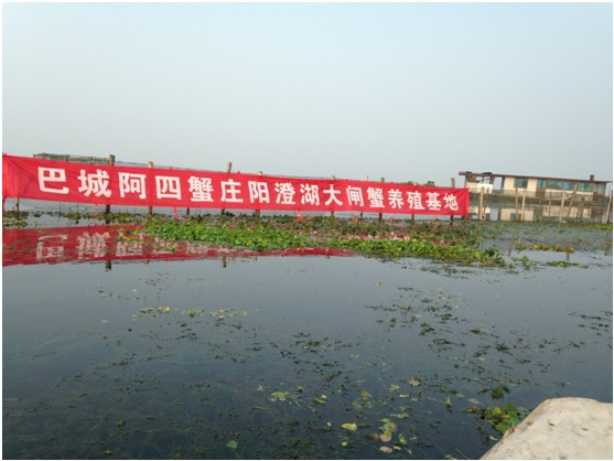 阳澄湖吃蟹旅游攻略,阳澄湖哪个地方吃蟹最正宗