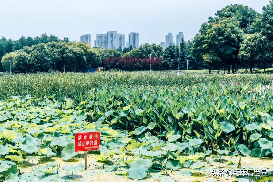 要想真正了解武汉，必须先了解汉阳