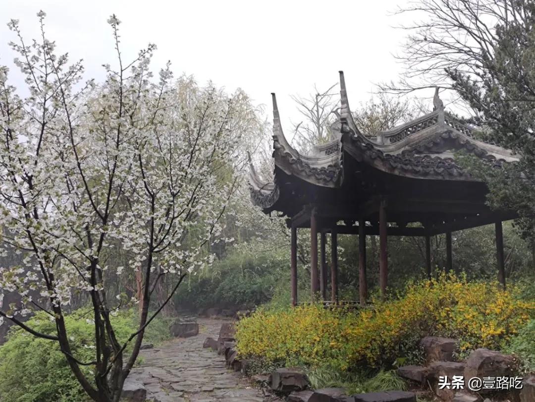 无锡人都在吃什么,无锡人为什么喜欢吃甜的