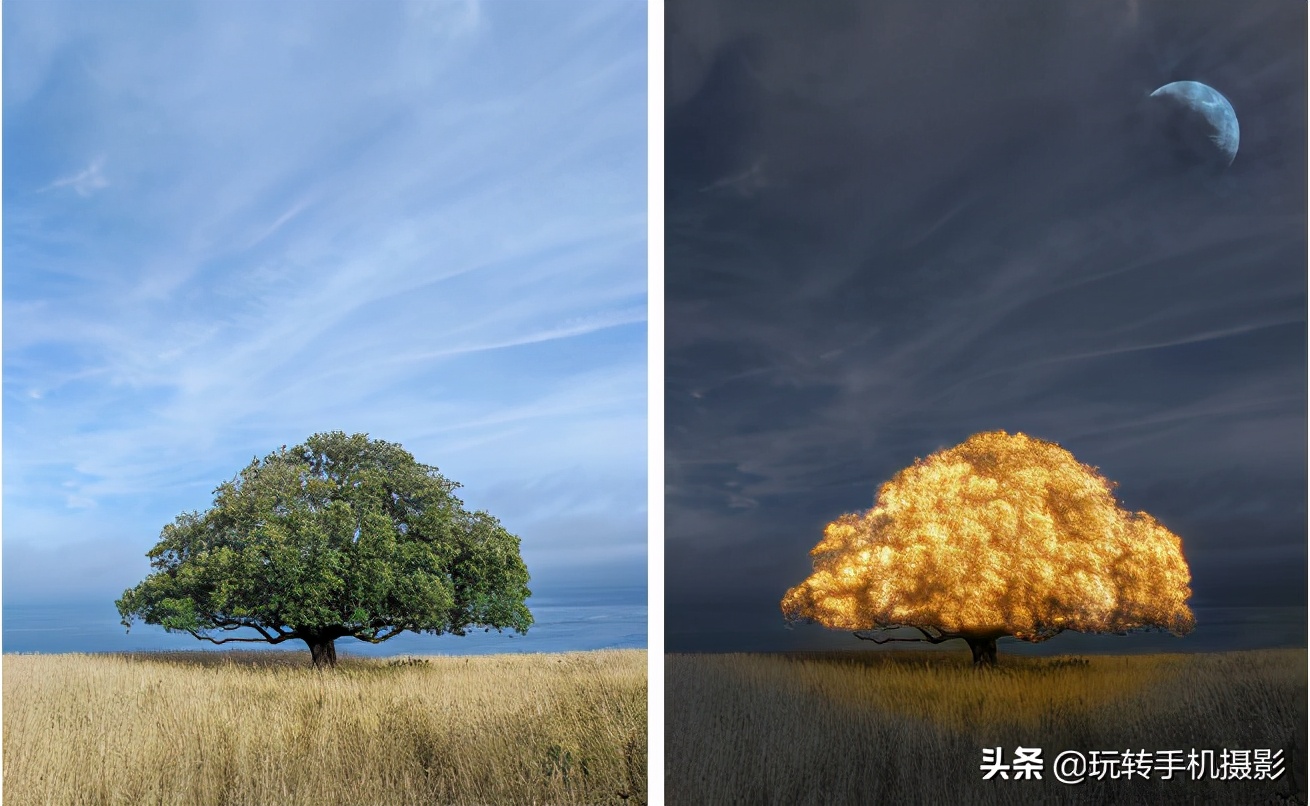 snapseed创意修图,snapseed如何把照片修出翠绿风格