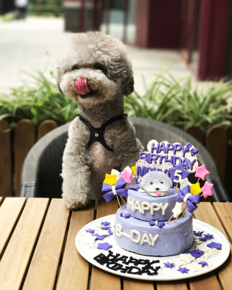 樊登讲从零开始学创业,樊登讲自己创业的感悟