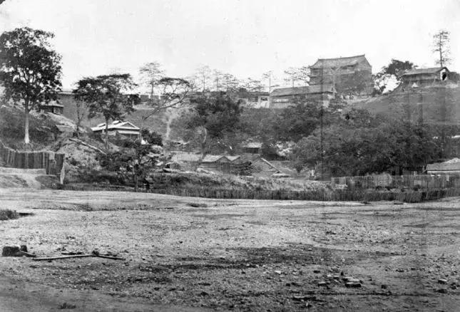 从“*药火**局”到“黄金甲”——铁打的越秀山，不变的广州情