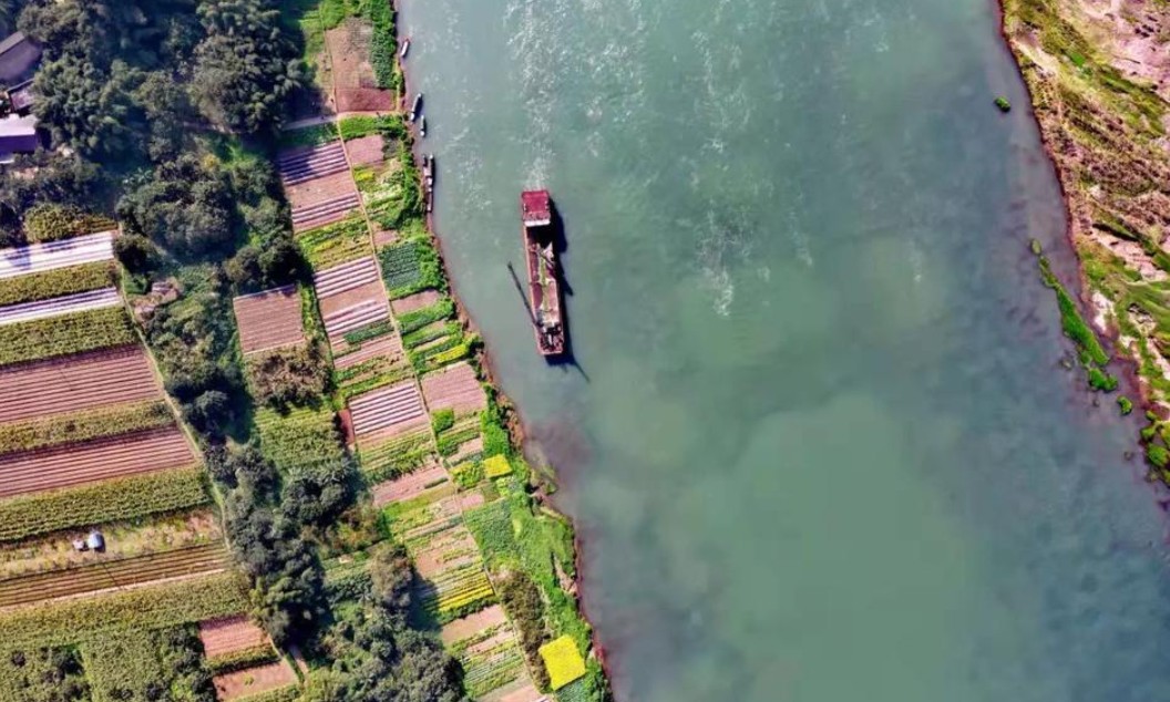 入渝第一岛中坝岛,长江入渝第一镇朱沱镇