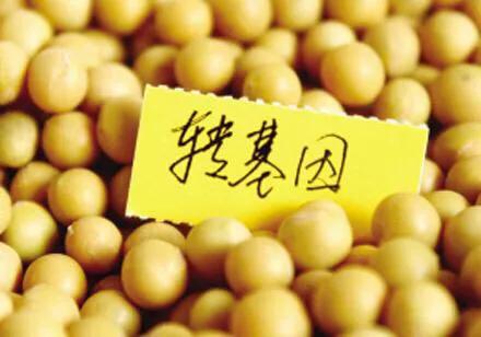 煮豆燃豆萁是哪首古诗,煮豆燃豆萁豆在釜中泣