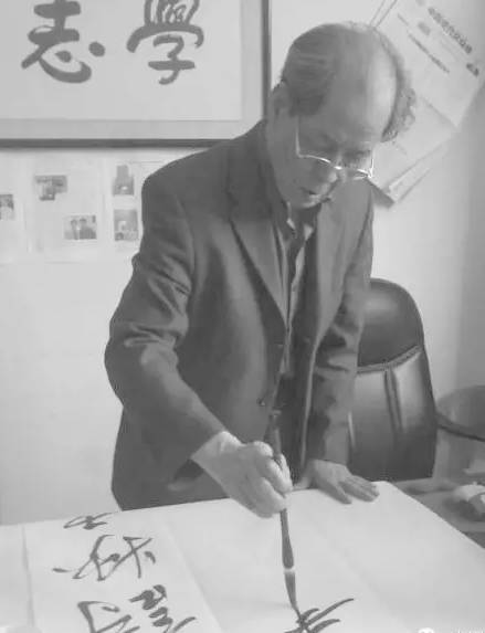 白鹿原陈忠实作品欣赏,白鹿原陈忠实行书