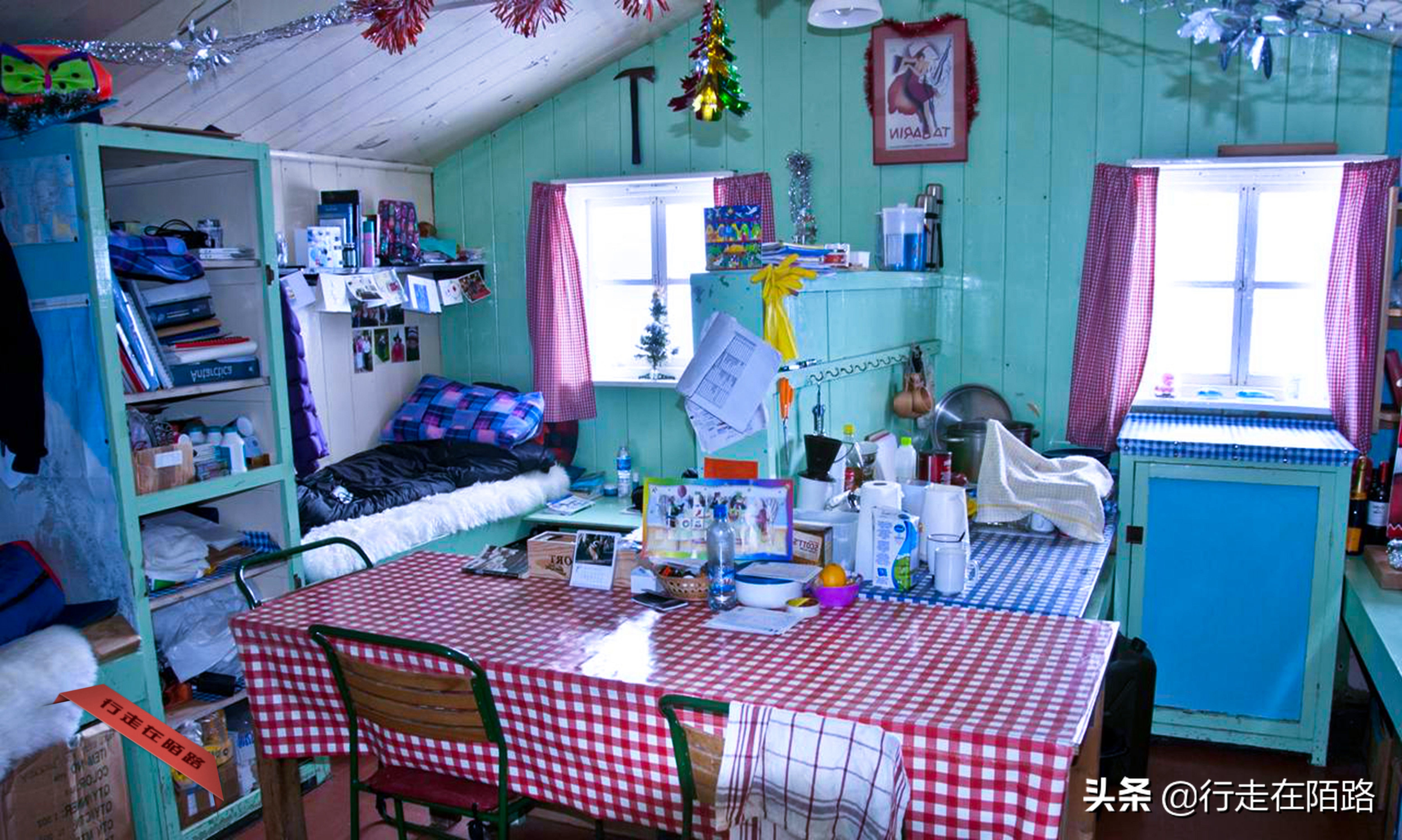 铲屎官招聘,邮局招聘吗