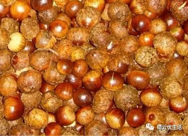 雅宅苦槠豆腐,雅宅苦槠腐