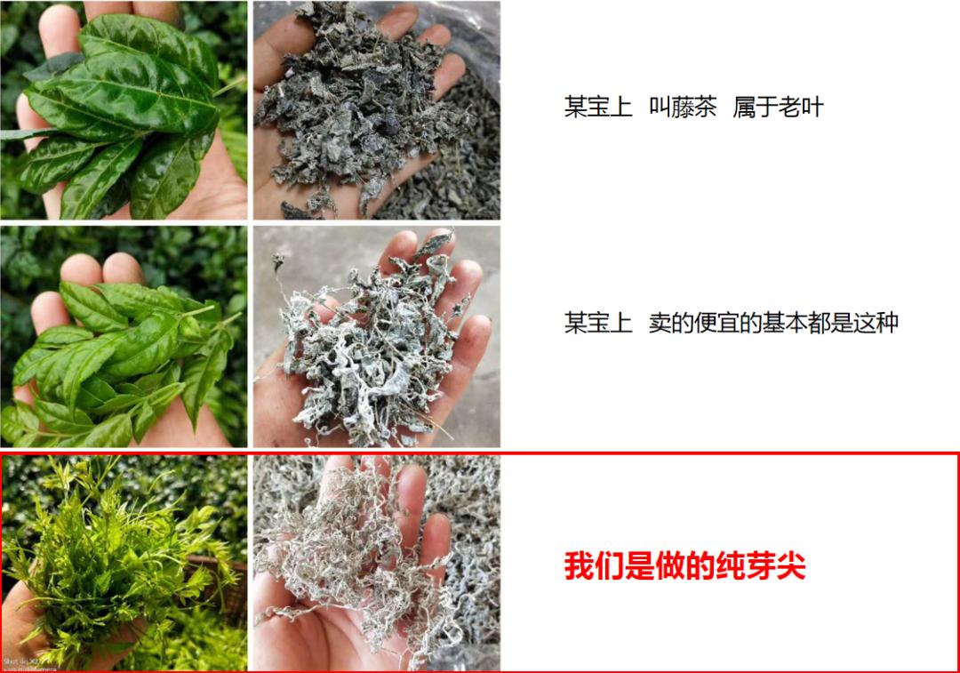 茅岩莓茶真的那么神吗,茅岩莓有机茶的功效