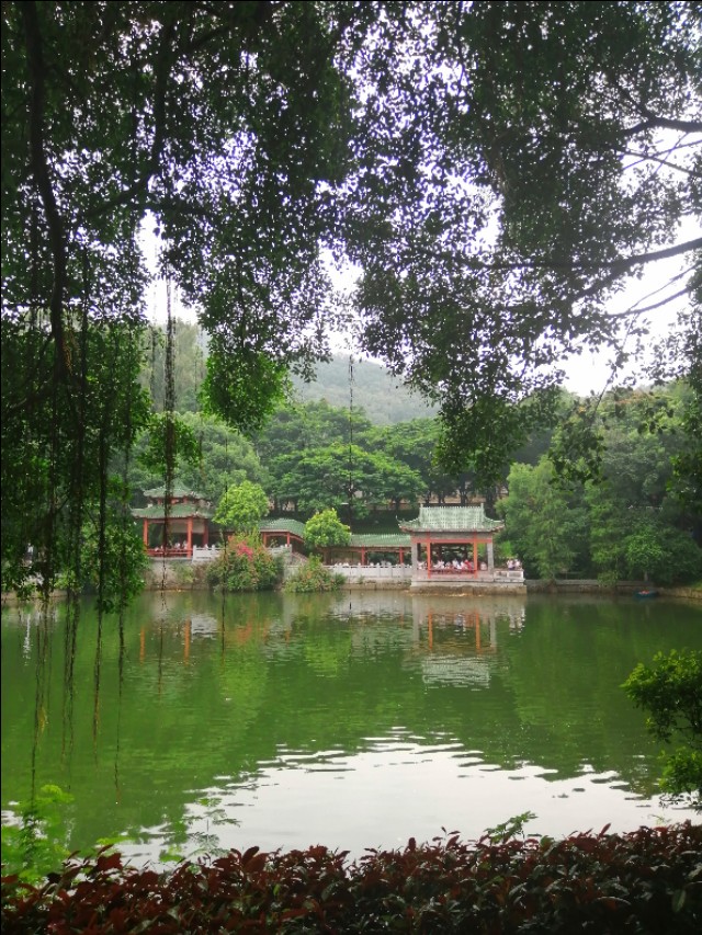 东莞旗峰公园掠影,东莞旗峰公园大体俯视图片