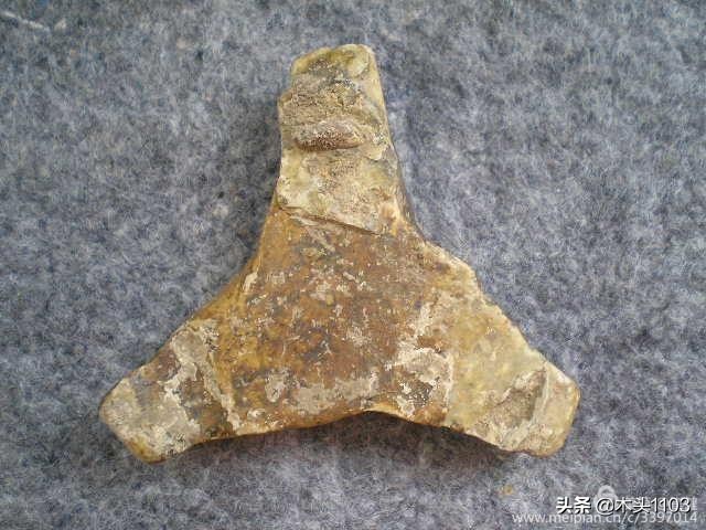 枣庄薛城邹坞镇中陈郝村,枣庄中陈郝村在哪里