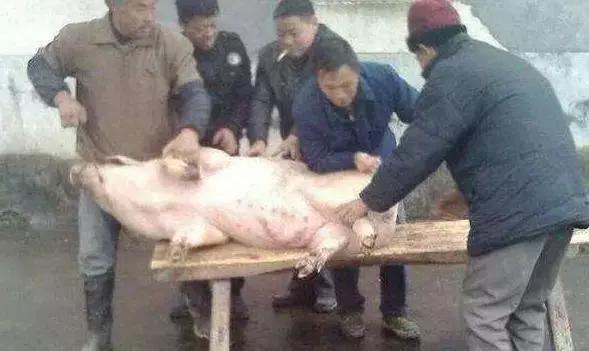 今天初一,这些习俗和禁忌你早知道,能旺一整年!