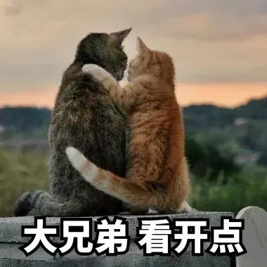 安徽为什么就两个三线城市,安徽像三个省吗