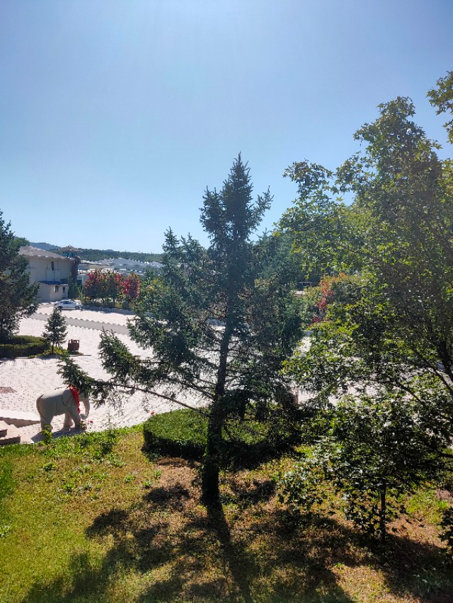 大连安波鸿缘温泉山庄,大连安波温泉民宿