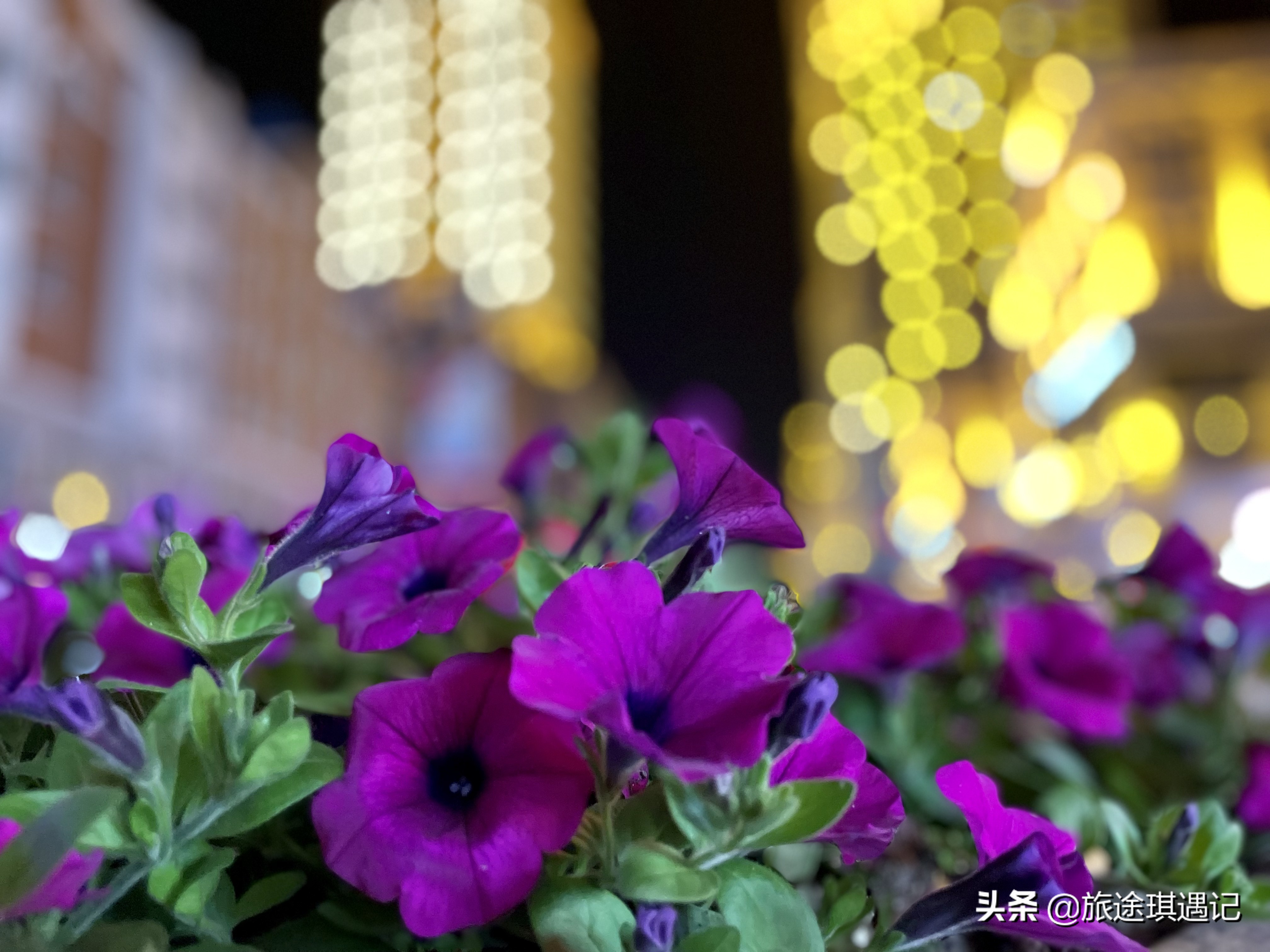 满洲里中俄边境旅游区美食,满洲里俄罗斯风情小镇美食