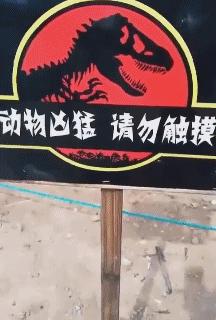 给你10块，帮我开下来我给你100块，告诉我怎么开上去的