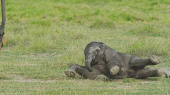 豆瓣9.8分悬疑大片,窥探电视剧豆瓣评分