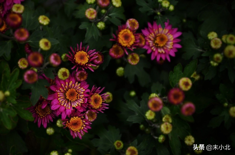不要轻易嫁给穷男人,嫁给一个穷的男人