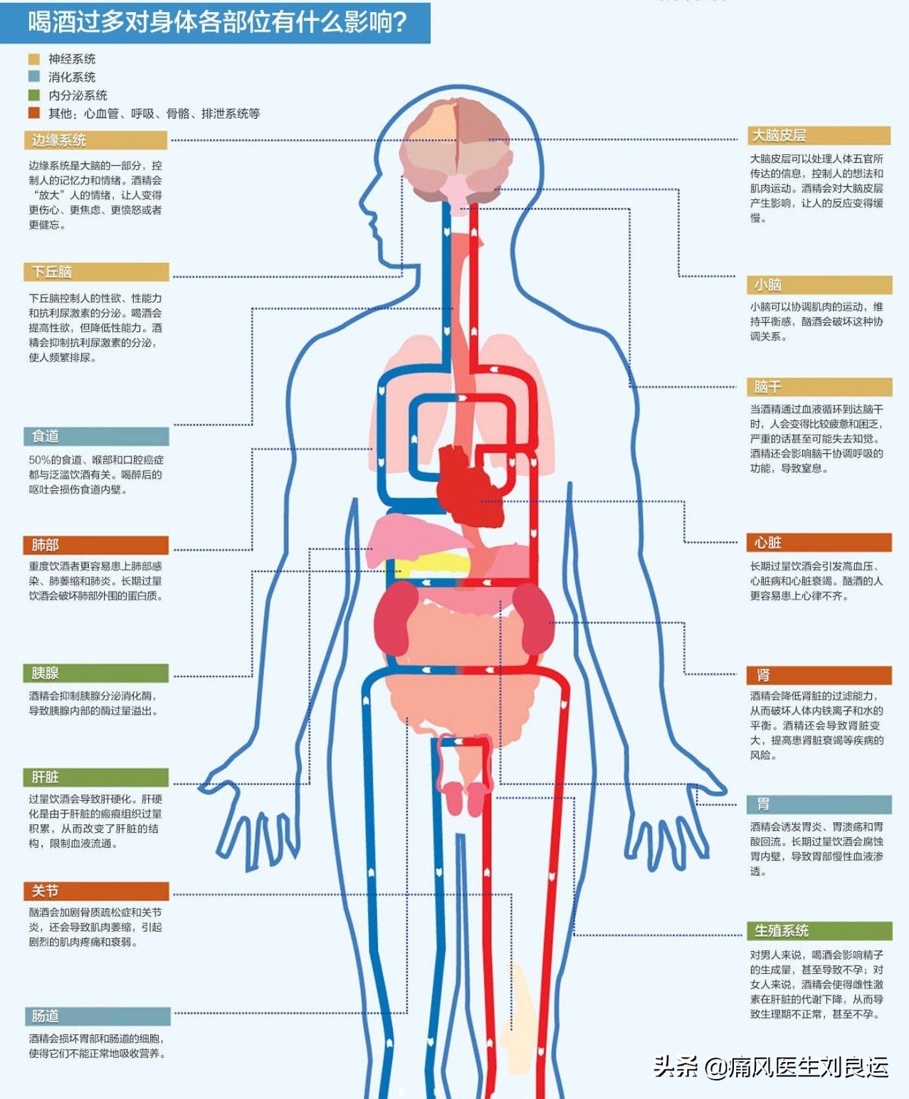痛风患者除了不能喝啤酒，别的酒都可以喝？医生说，戒酒不香吗？
