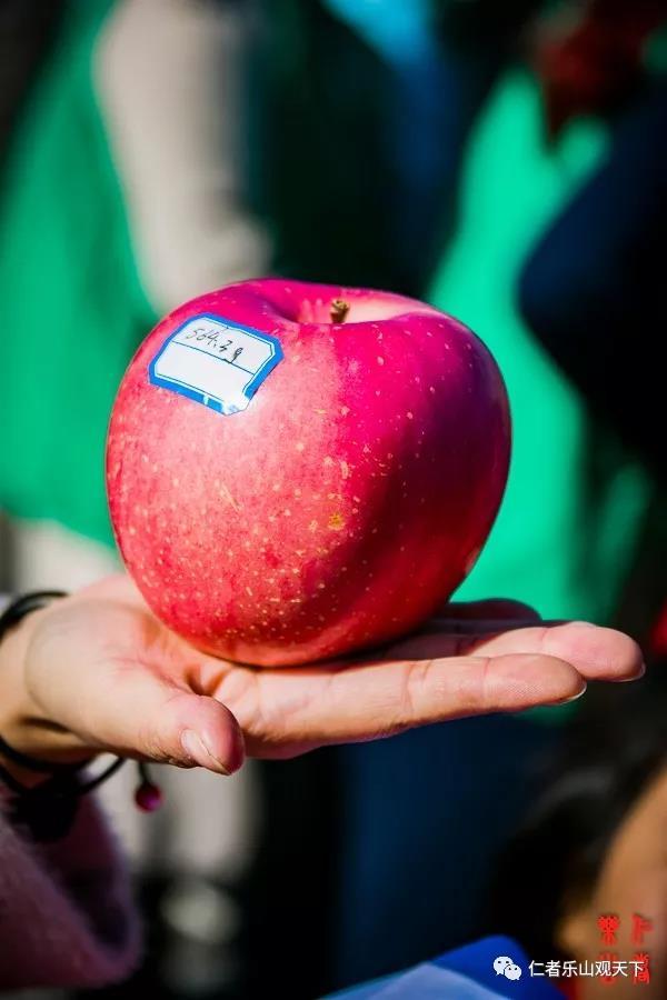 花卉蔬菜制作教程,花卉怎么做