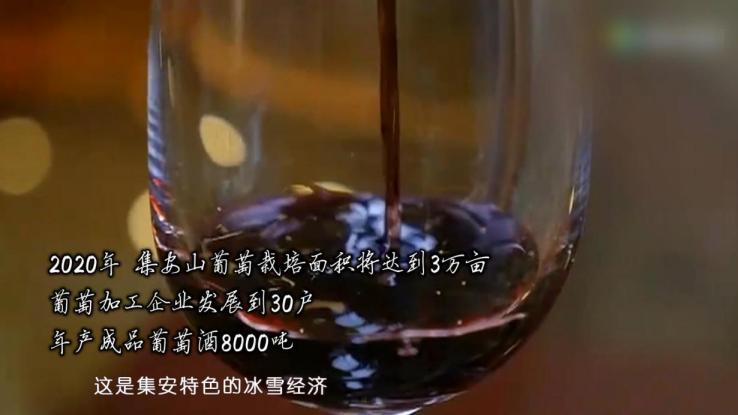 东北人才懂,东北人才懂的味道