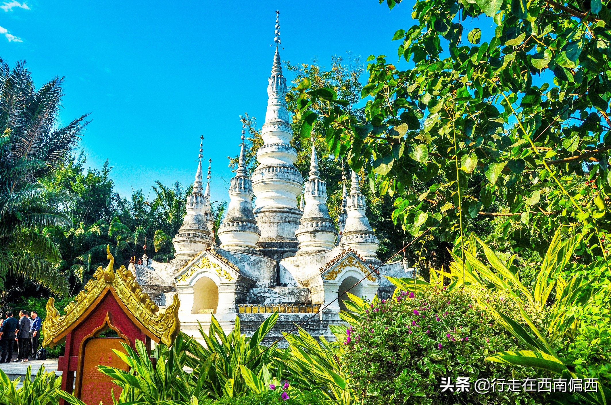 西双版纳五树六花185平米,西双版纳花的世界