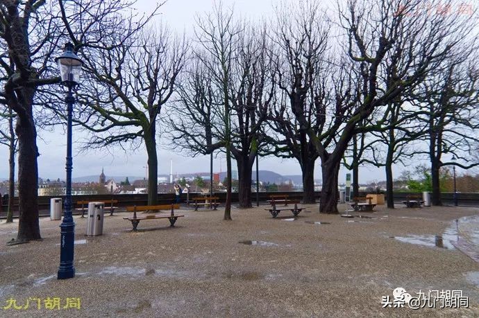 巴塞尔大教堂在哪里,巴塞尔大教堂介绍