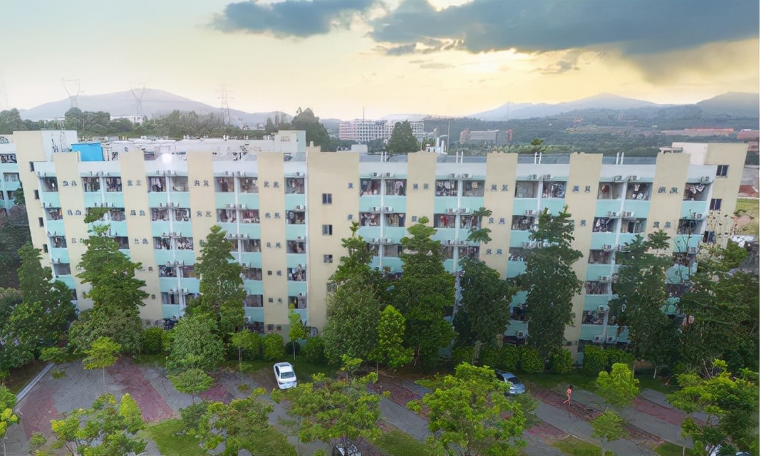 广东岭南职业技术学院上本科的人,广东岭南职业学院读成人大专好吗