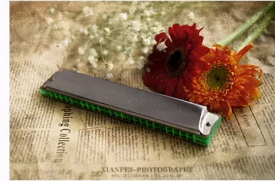 王春霞创作的原声,王春霞国画