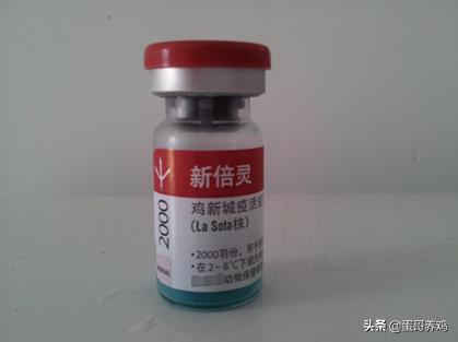 气雾免疫疫苗,如何提高新城疫抗体均匀度